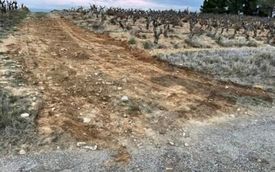 Création d’accès de Vigne et nettoyage champs Laure Minervois