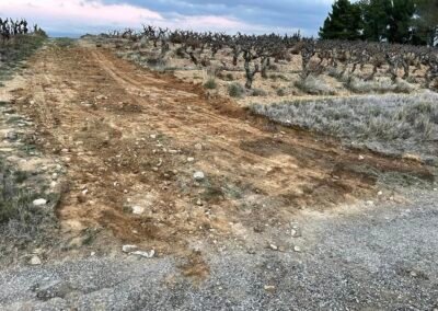 Création d’accès de Vigne et nettoyage champs Laure Minervois